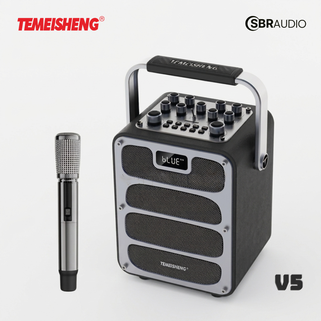 Temeisheng V5